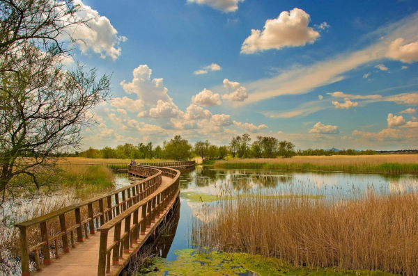 Parque Natural Tablas de Daimiel